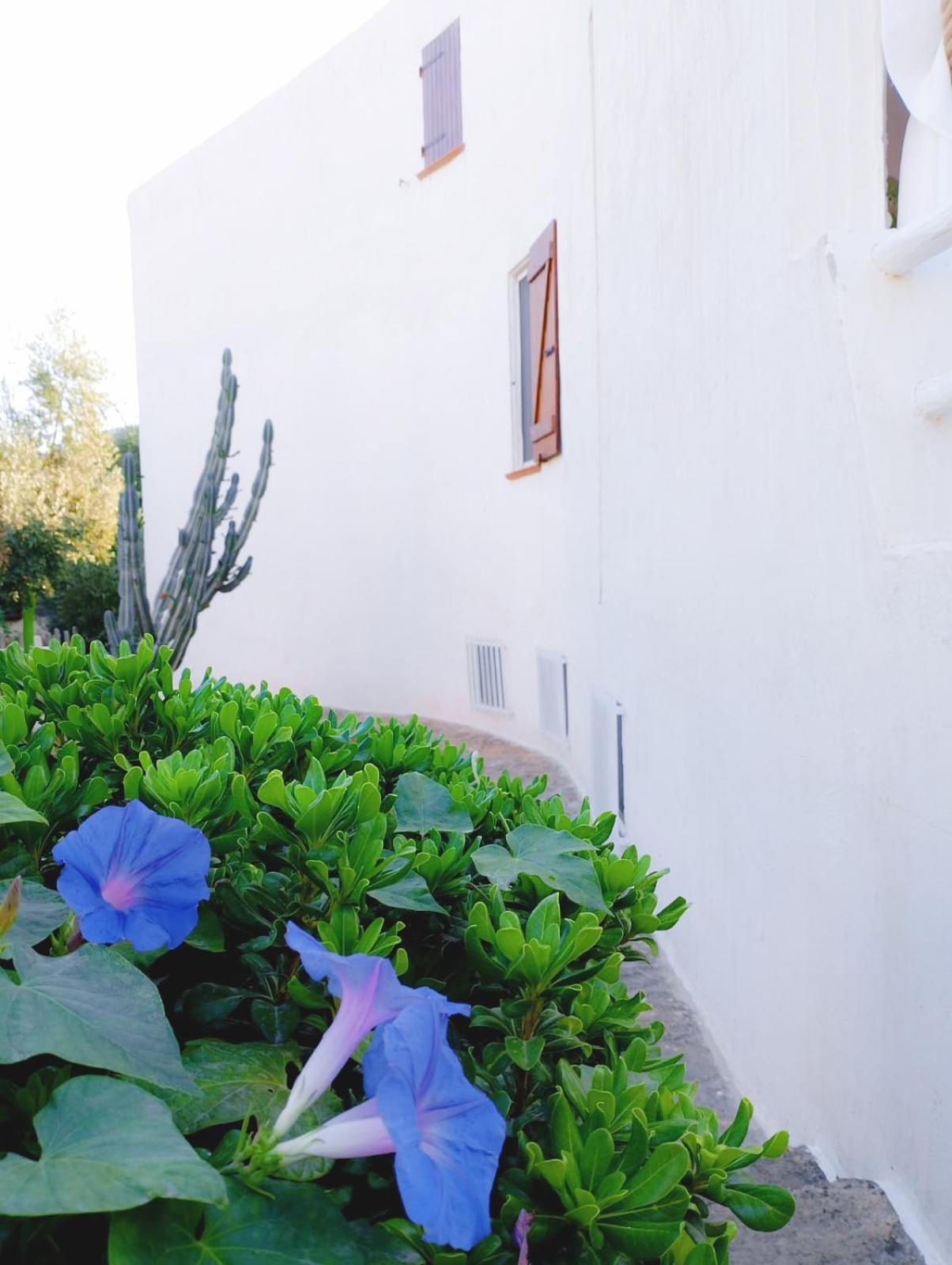 Villa Anna 300 M Dal Mare توري ديل ستيل المظهر الخارجي الصورة