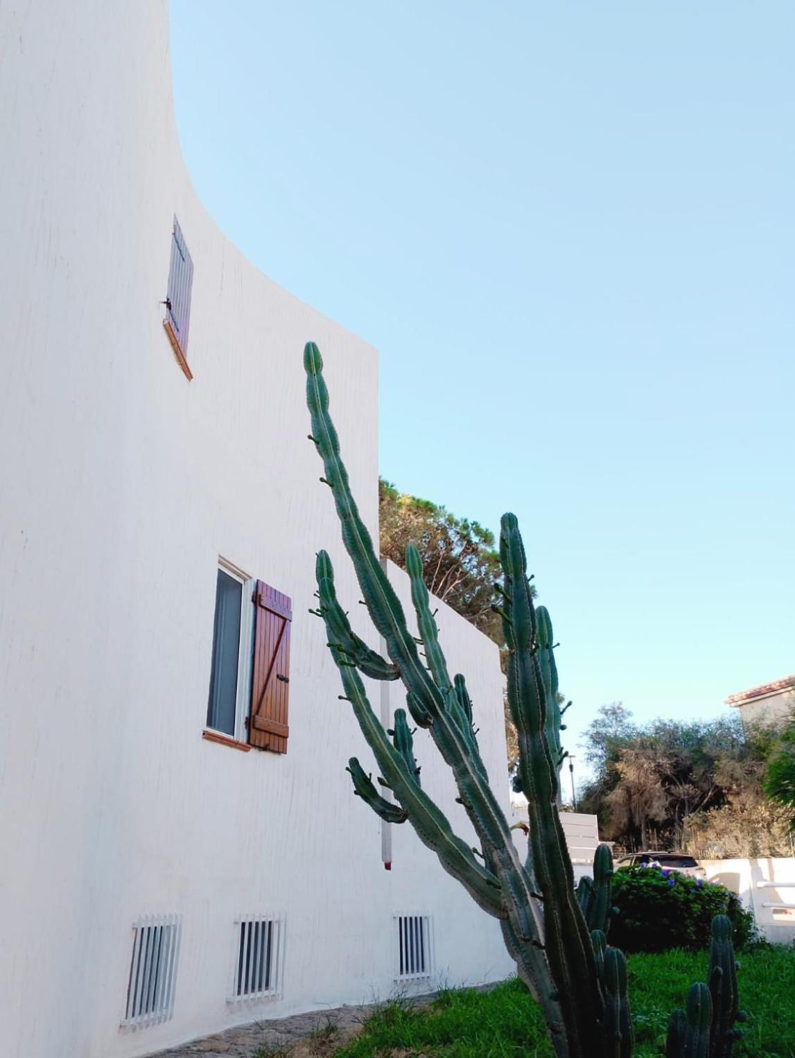 Villa Anna 300 M Dal Mare توري ديل ستيل المظهر الخارجي الصورة