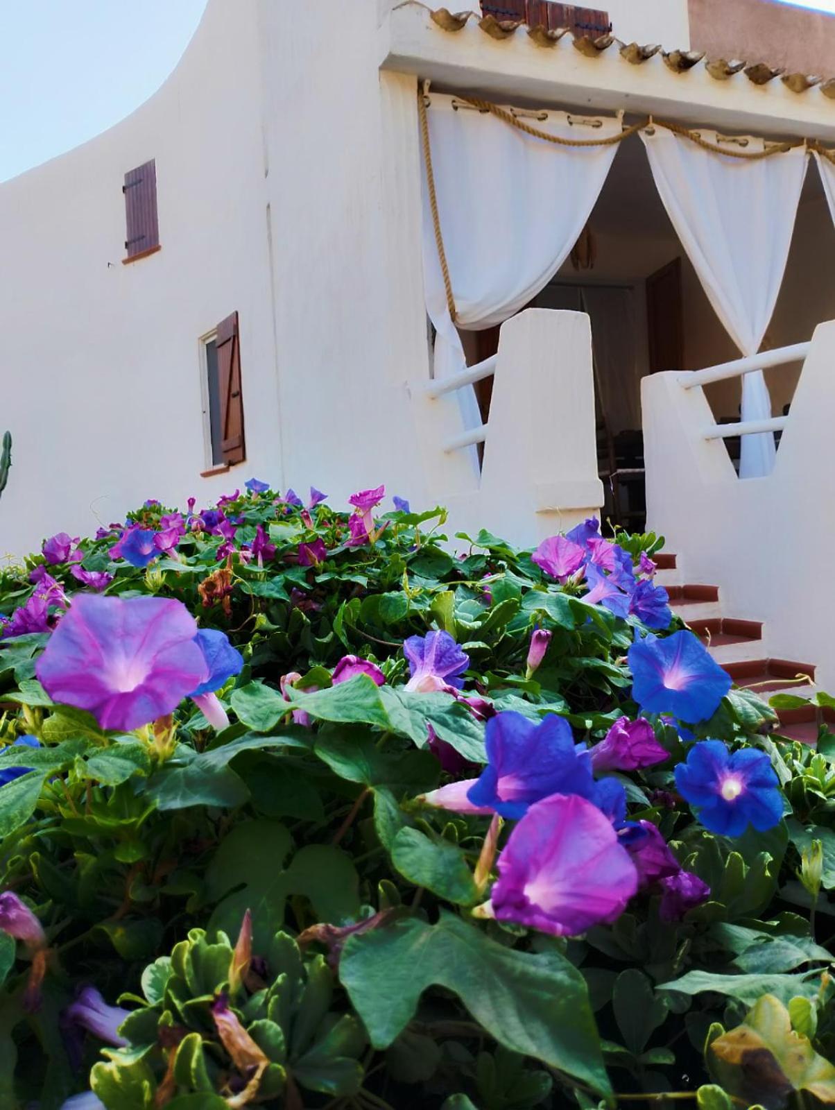 Villa Anna 300 M Dal Mare توري ديل ستيل المظهر الخارجي الصورة